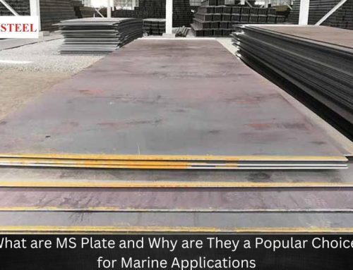 What are MS Plates, and Why are They Popular for Marine Applications?